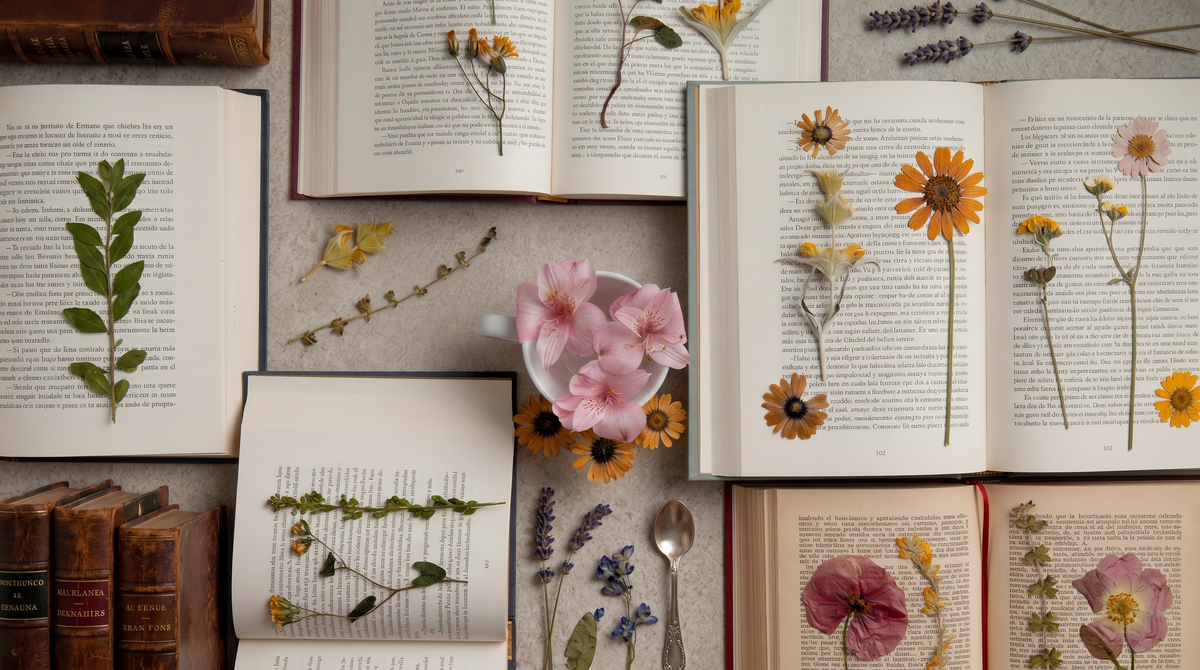 BOOK Lovers