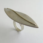 Acacia Petal