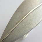 Acacia Petal