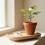 Magnolia Leaf